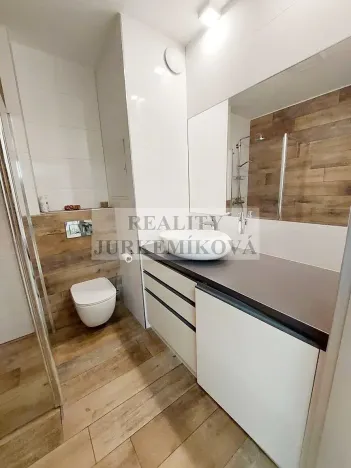 Pronájem bytu 2+kk, České Budějovice, U Lučního jezu, 46 m2