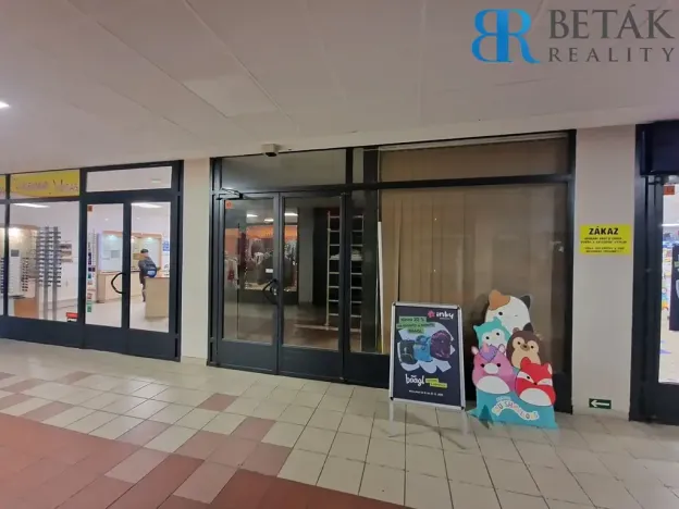 Pronájem obchodního prostoru, Přerov, Trávník, 500 m2