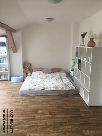 Pronájem bytu 1+kk, Ústí nad Labem, Londýnská, 52 m2