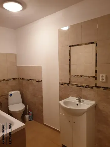 Pronájem bytu 1+kk, Ústí nad Labem, Londýnská, 52 m2