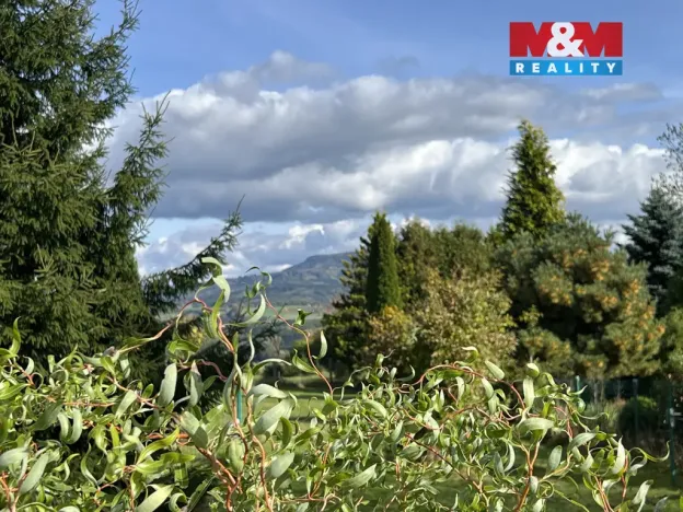 Prodej pozemku pro bydlení, Velké Poříčí, 5000 m2