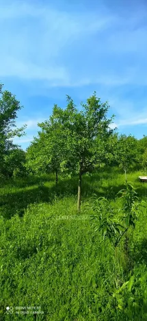 Prodej pozemku, Brumovice, 500 m2