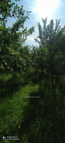 Prodej pozemku, Brumovice, 500 m2