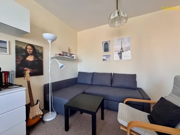 Pronájem bytu 1+1, Třebíč, Modřínová, 46 m2