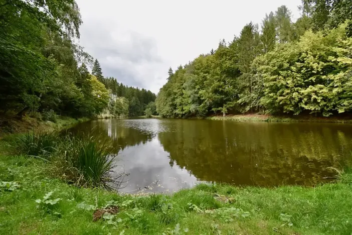 Prodej chaty, Číhošť, 75 m2