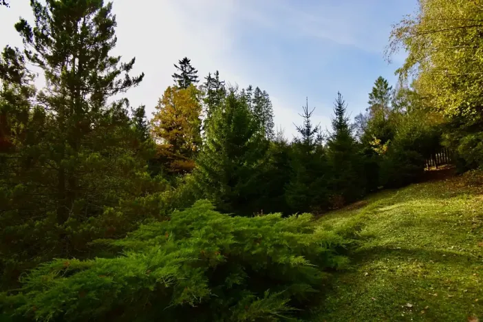Prodej chaty, Číhošť, 75 m2
