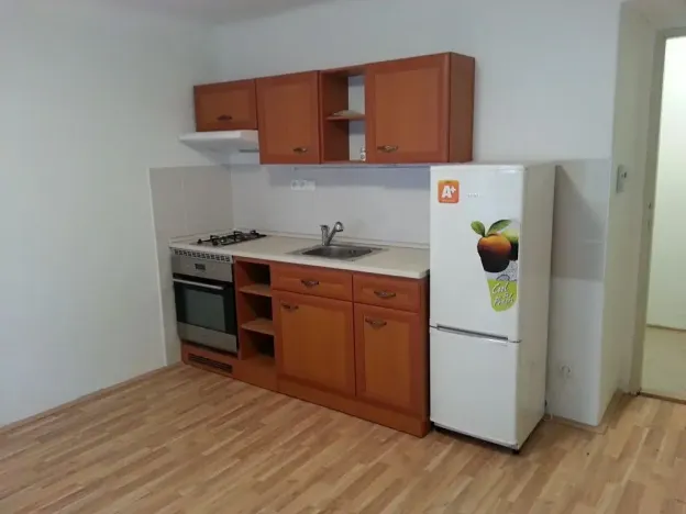Pronájem bytu 1+kk, Praha - Žižkov, U kněžské louky, 35 m2
