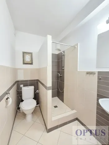 Pronájem rodinného domu, Praha - Háje, K jezeru, 306 m2