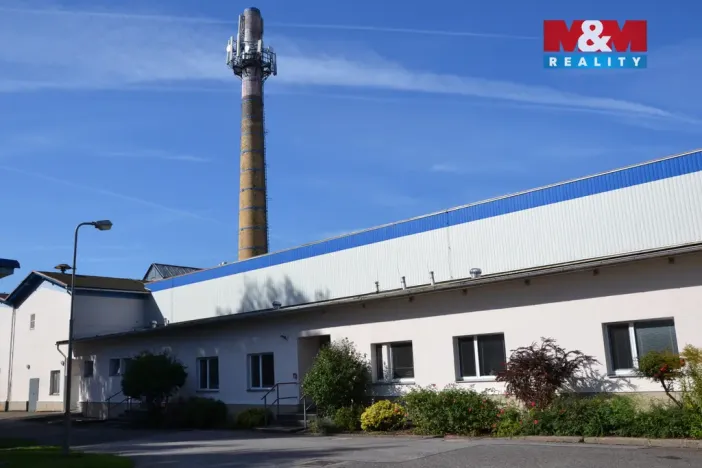 Prodej výrobních prostor, Miletín, Lhotova, 22000 m2