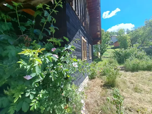 Prodej rodinného domu, Valašská Senice, 90 m2