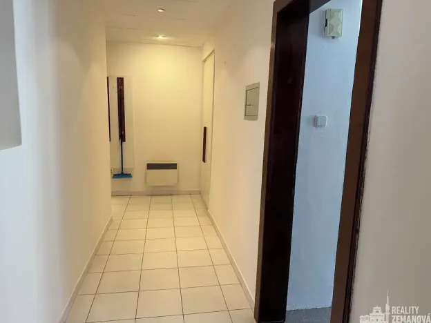 Pronájem bytu 4+kk, Praha - Vinohrady, Řipská, 135 m2