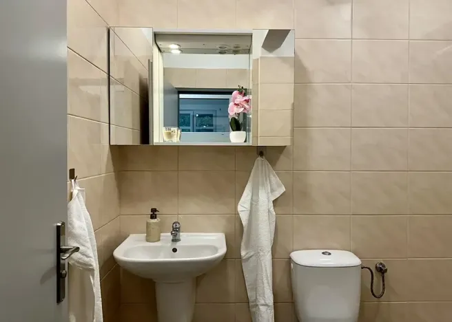 Pronájem bytu 2+kk, Plzeň, Mánesova, 43 m2