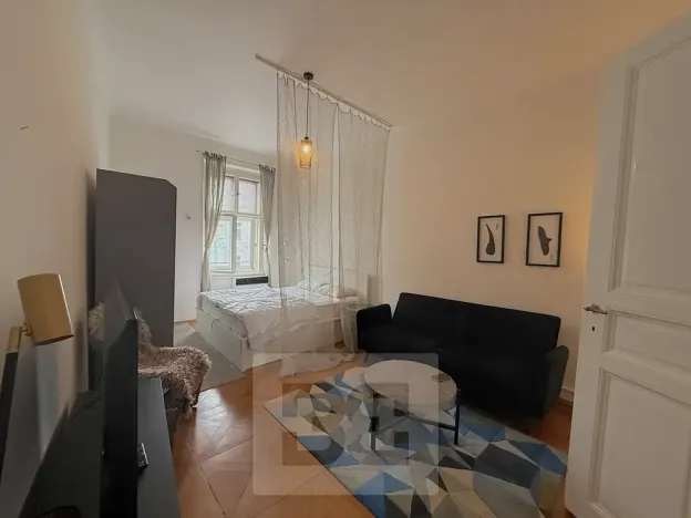 Pronájem bytu 1+1, Praha - Nové Město, Petrská, 37 m2