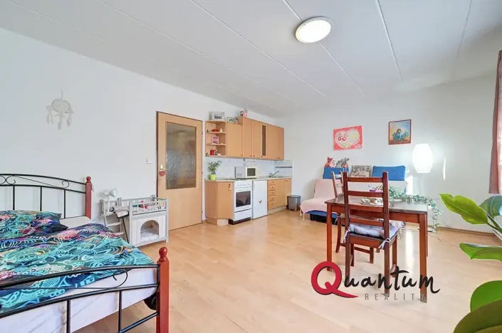 Pronájem bytu 1+kk, Praha - Košíře, Houdova, 33 m2