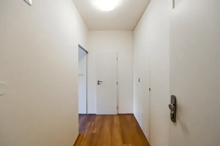 Pronájem bytu 1+kk, Praha - Vinohrady, Lucemburská, 30 m2