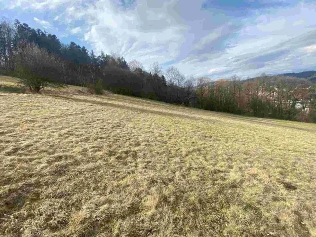 Prodej pole, Semily, 28783 m2