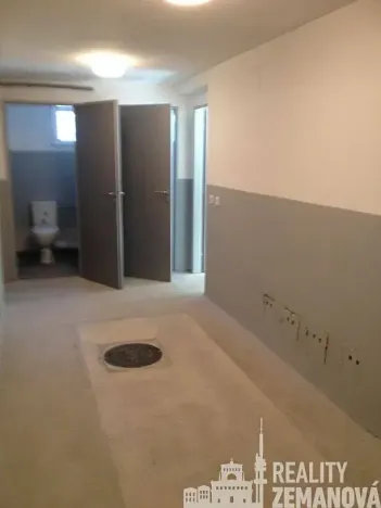 Pronájem skladu, Praha - Strašnice, Pod strašnickou vinicí, 48 m2