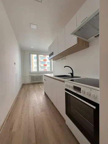 Prodej bytu 2+1, Písek, nábřeží 1. máje, 60 m2