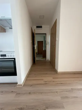 Prodej bytu 2+1, Písek, nábřeží 1. máje, 60 m2