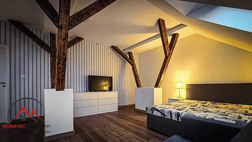 Pronájem bytu 1+kk, Ostrava, Cihelní, 38 m2