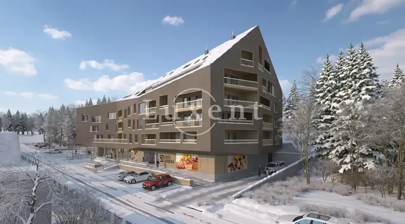 Prodej bytu 1+kk, Železná Ruda, 39 m2