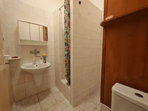 Pronájem bytu 2+1, Brno, Antonínská, 64 m2