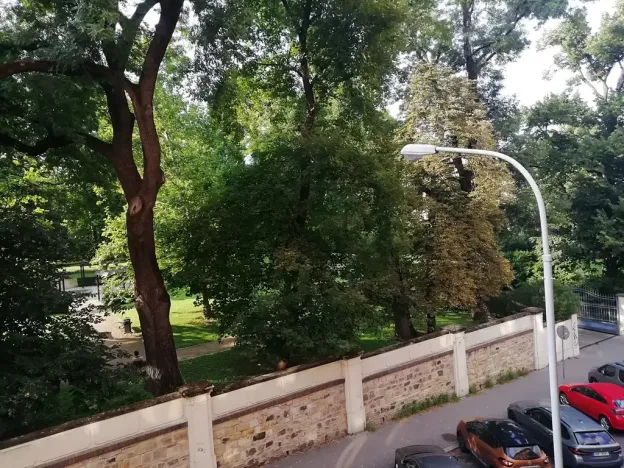 Pronájem bytu 2+1, Brno, Antonínská, 64 m2