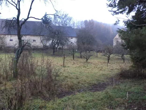 Dražba louky, Lovečkovice, 436 m2