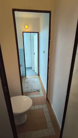 Pronájem bytu 2+1, Plzeň, Sokolovská, 56 m2
