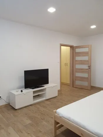 Pronájem bytu 1+1, Liberec, Borový vrch, 39 m2