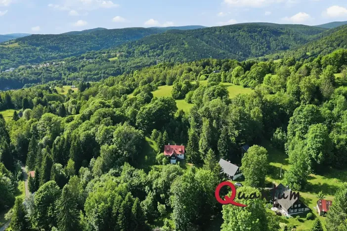Prodej chalupy, Desná, Pustinská, 100 m2