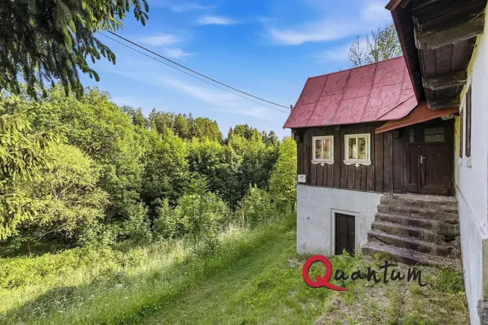 Prodej chalupy, Desná, Pustinská, 100 m2