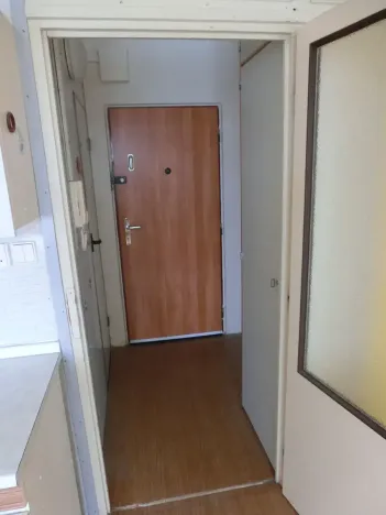 Prodej bytu 1+1, Ostrov, Jungmannova, 36 m2