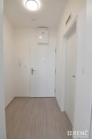 Pronájem bytu 1+kk, Brno, Reissigova, 42 m2