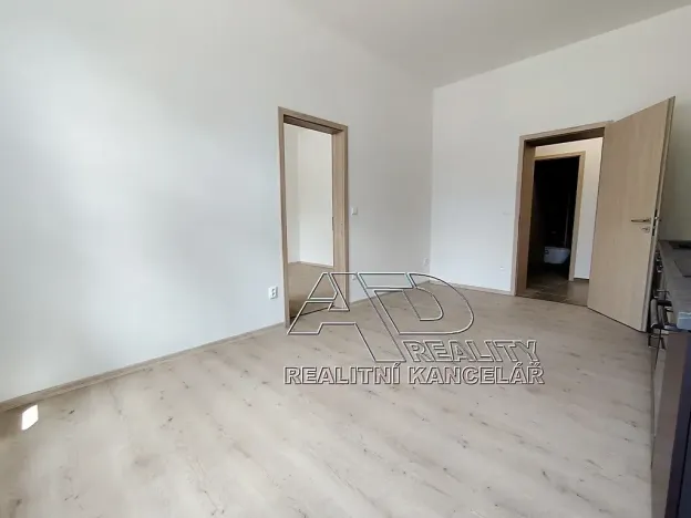 Pronájem atypického bytu, České Budějovice, Fráni Šrámka, 65 m2