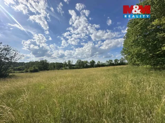 Prodej zahrady, Bechlín - Předonín, 625 m2