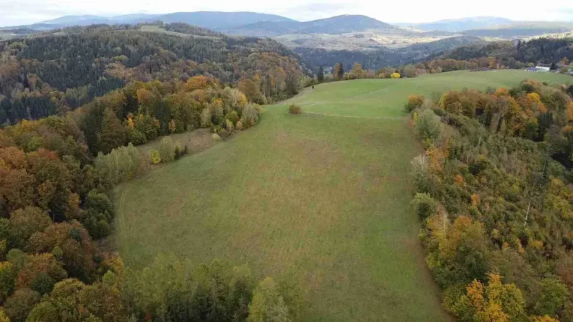 Prodej pole, Hanušovice - Hynčice nad Moravou, 53256 m2