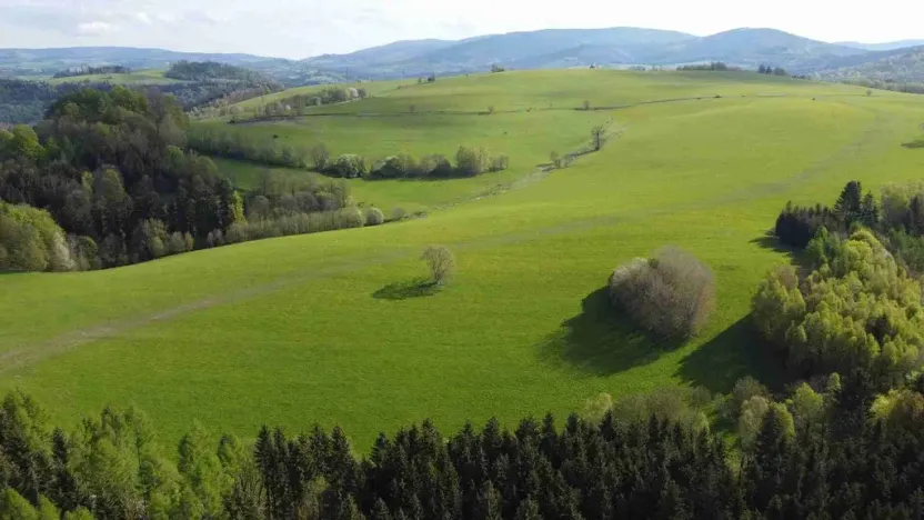 Prodej pole, Hanušovice - Hynčice nad Moravou, 53256 m2
