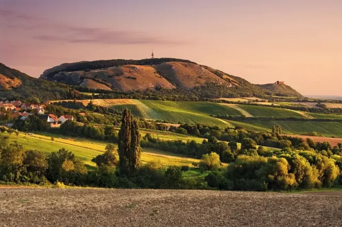Prodej rodinného domu, Pasohlávky, 134 m2