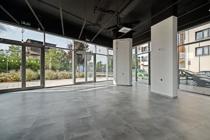 Pronájem restaurace, Praha - Holešovice, V háji, 240 m2