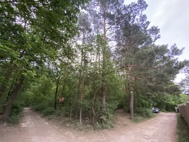 Prodej lesa, Vráž, 3233 m2