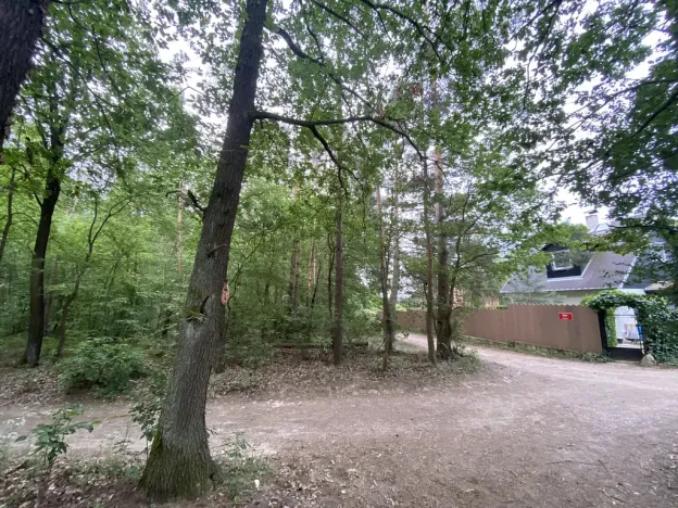Prodej lesa, Vráž, 3233 m2