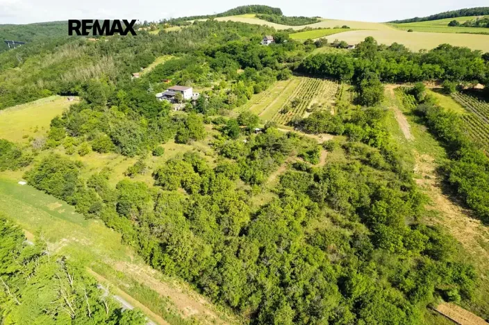 Prodej sadu/vinice, Moravské Bránice, 2403 m2