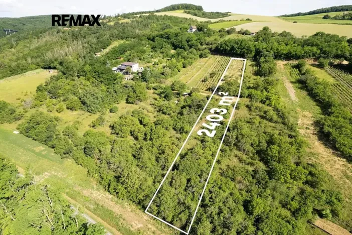 Prodej sadu/vinice, Moravské Bránice, 2403 m2