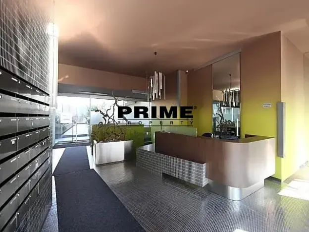 Pronájem bytu 3+kk, Praha - Žižkov, Prokopova, 154 m2