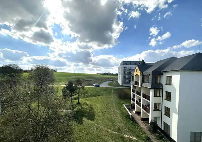 Prodej bytu 3+1, Pelhřimov, Boženy Němcové, 64 m2
