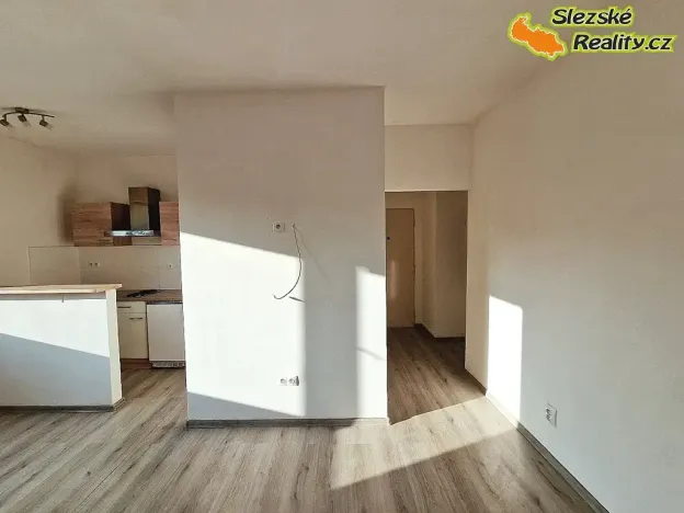 Pronájem bytu 1+kk, Ostrava, Krakovská, 22 m2