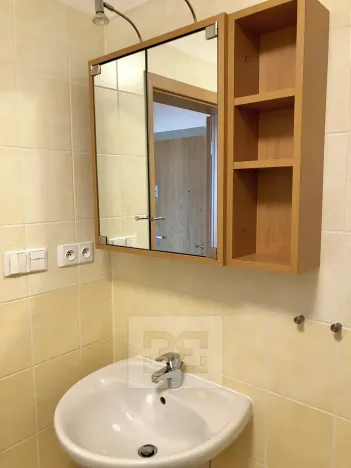 Pronájem bytu 1+kk, Praha - Holešovice, U měšťanského pivovaru, 41 m2