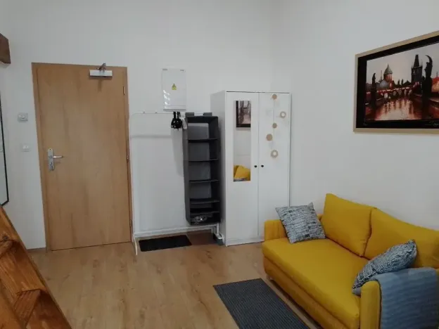 Prodej bytu 1+kk, Praha - Nové Město, Sokolská, 23 m2