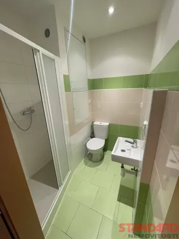 Pronájem bytu 1+kk, Dobřany, 17. listopadu, 19 m2